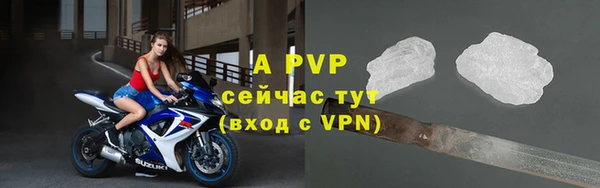 спиды Карталы