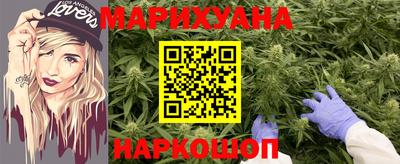 шишки Будённовск