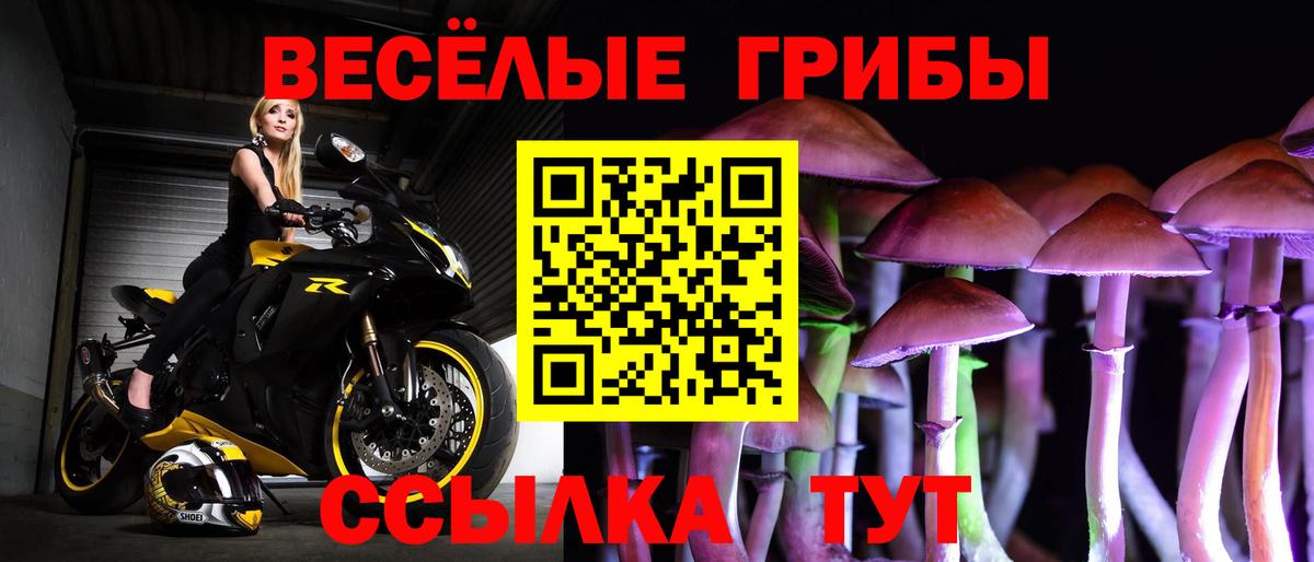 Котлас  Псилоцибиновые грибы прущие грибы  Псилоцибиновые грибы MAGIC MUSHROOMS  наркошоп  Вход с VPN 